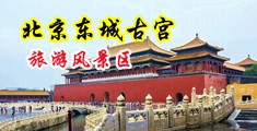 国产大鸡巴猛干女人骚逼免费视频中国北京-东城古宫旅游风景区